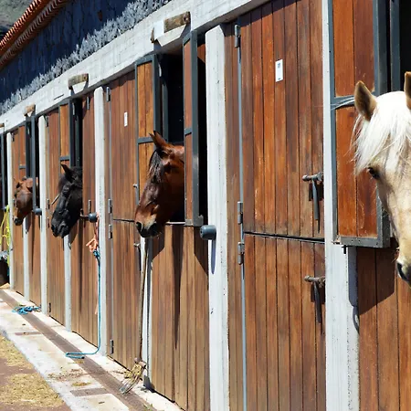 La Casona Del Patio
